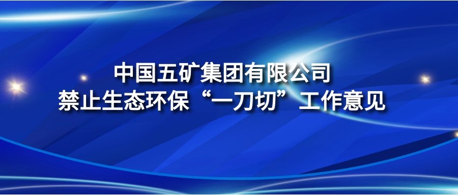 《中國五礦集團有限公司禁止生態(tài)環(huán)保“一刀切”工作意見》
